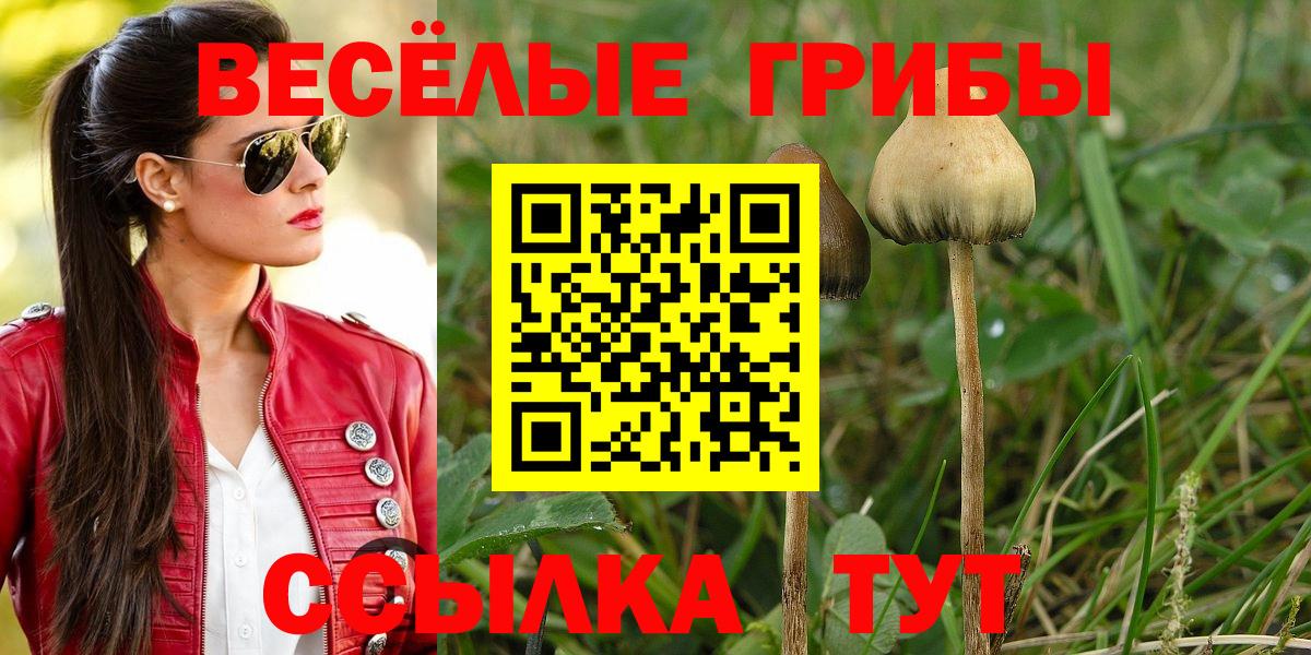Галлюциногенные грибы GOLDEN TEACHER Октябрьский